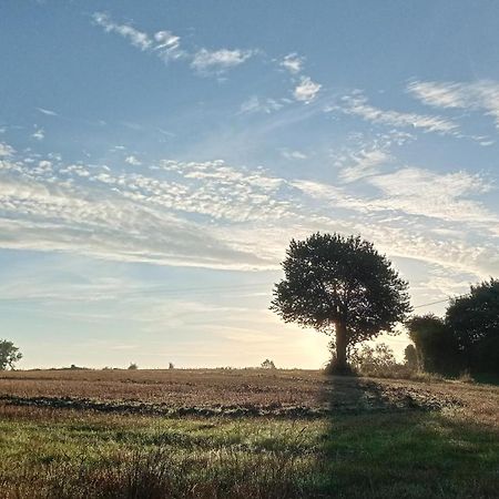 Au Mont & Merveilles Sartilly-Baie-Bocage Zewnętrze zdjęcie